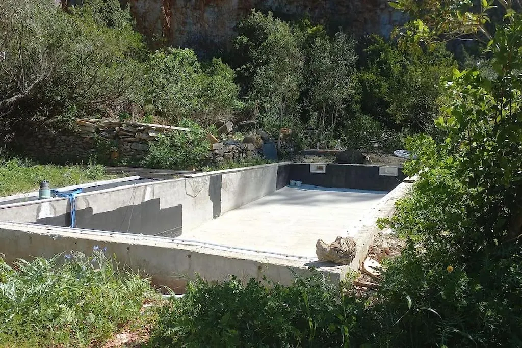 Maison Sur Terrain Nature 2200M2 Cuers Holiday home