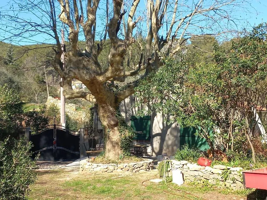 Maison Sur Terrain Nature 2200M2 Cuers France